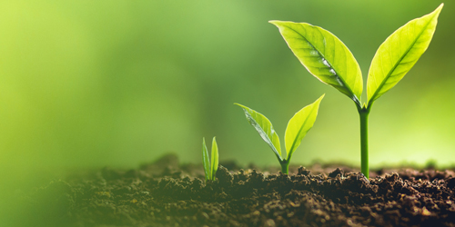 Thirteen Foundation Grants Awarded