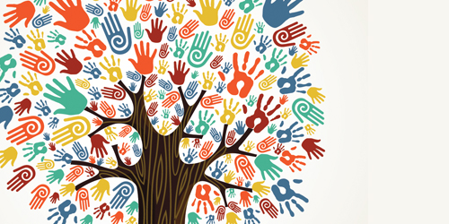 An Inside Look at CDFI Credit Unions